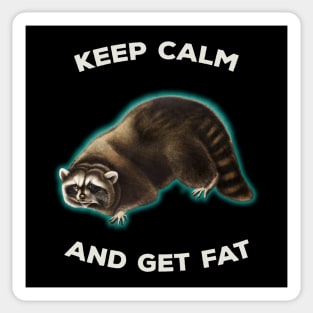Vintage Raccoon Animal Meme Keep Calm Sticker